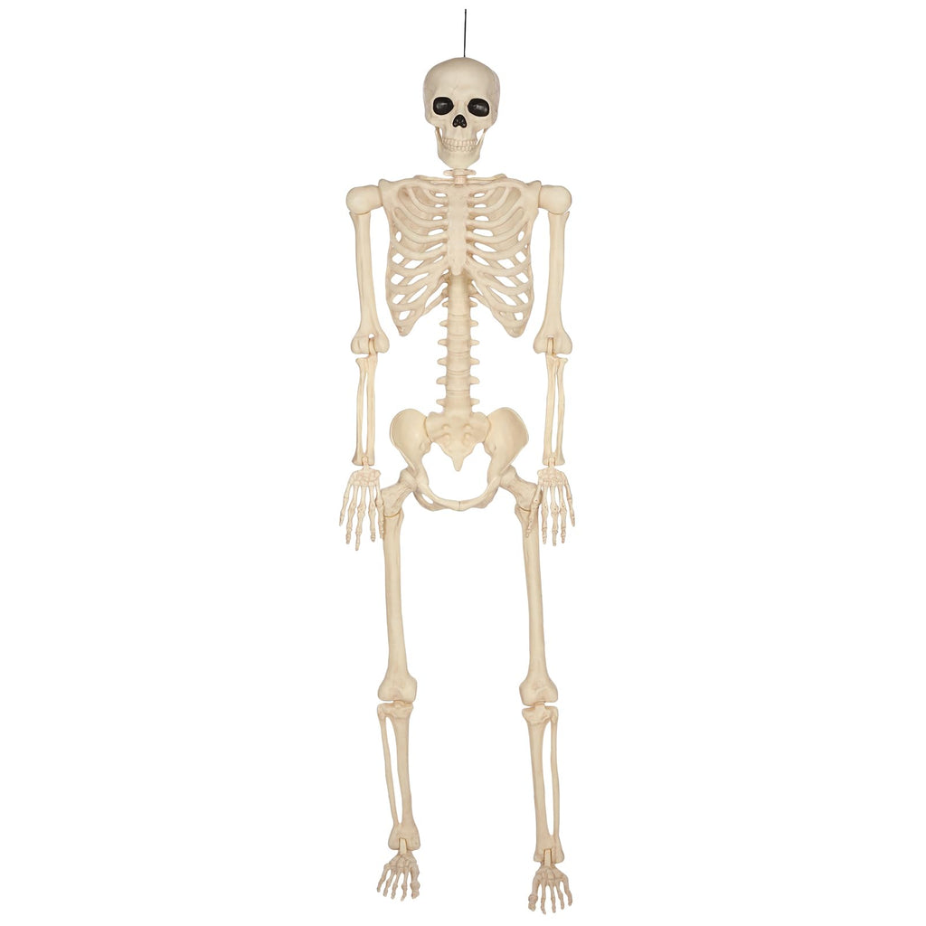 5 Ft Life-Size Full Body Skeletons C987