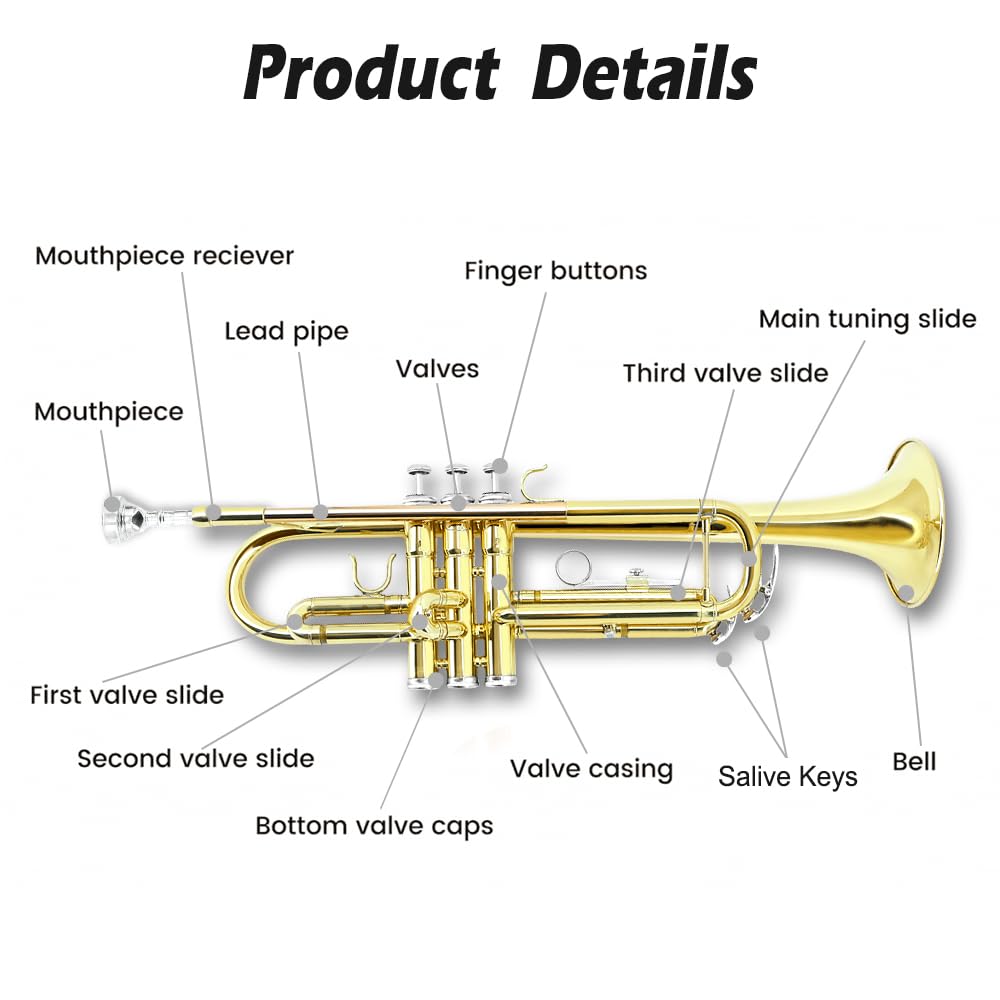 Bb Trumpet Standard Kit with Carrying Case 7C Mouthpiece Clean Cloth Gloves Brass Instrument Z477