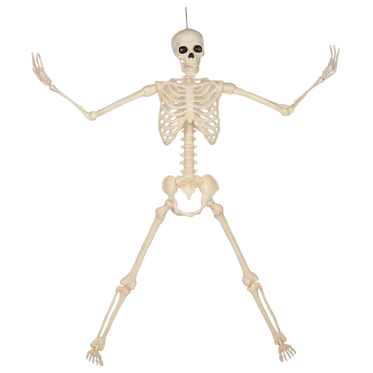 5 Ft Life-Size Full Body Skeletons C987