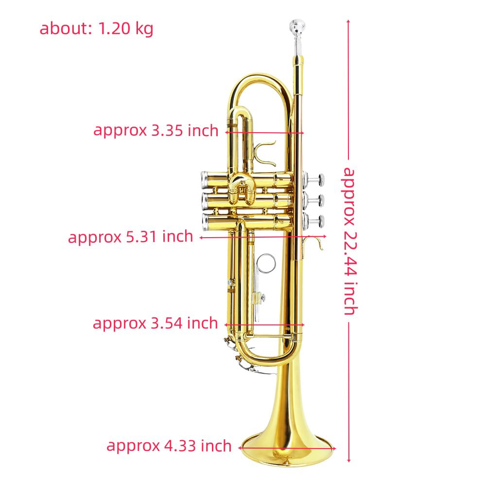 Bb Trumpet Standard Kit with Carrying Case 7C Mouthpiece Clean Cloth Gloves Brass Instrument Z477