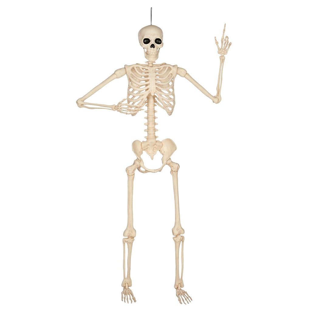 5 Ft Life-Size Full Body Skeletons C987