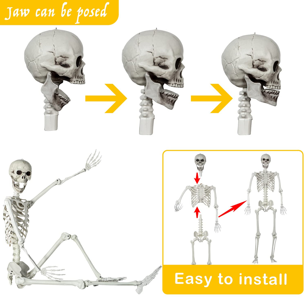 Life Size Skeleton with Posable Joints C71946