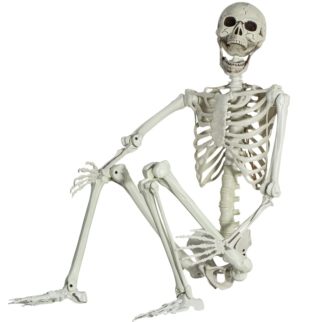 Life Size Skeleton with Posable Joints C71946