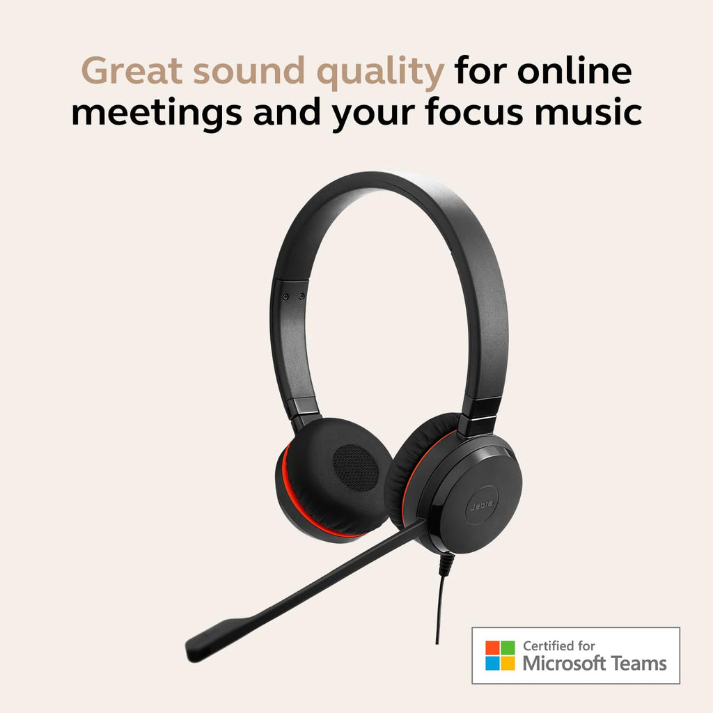 Wired Dual-Ear Headset with Mic, Black Z804