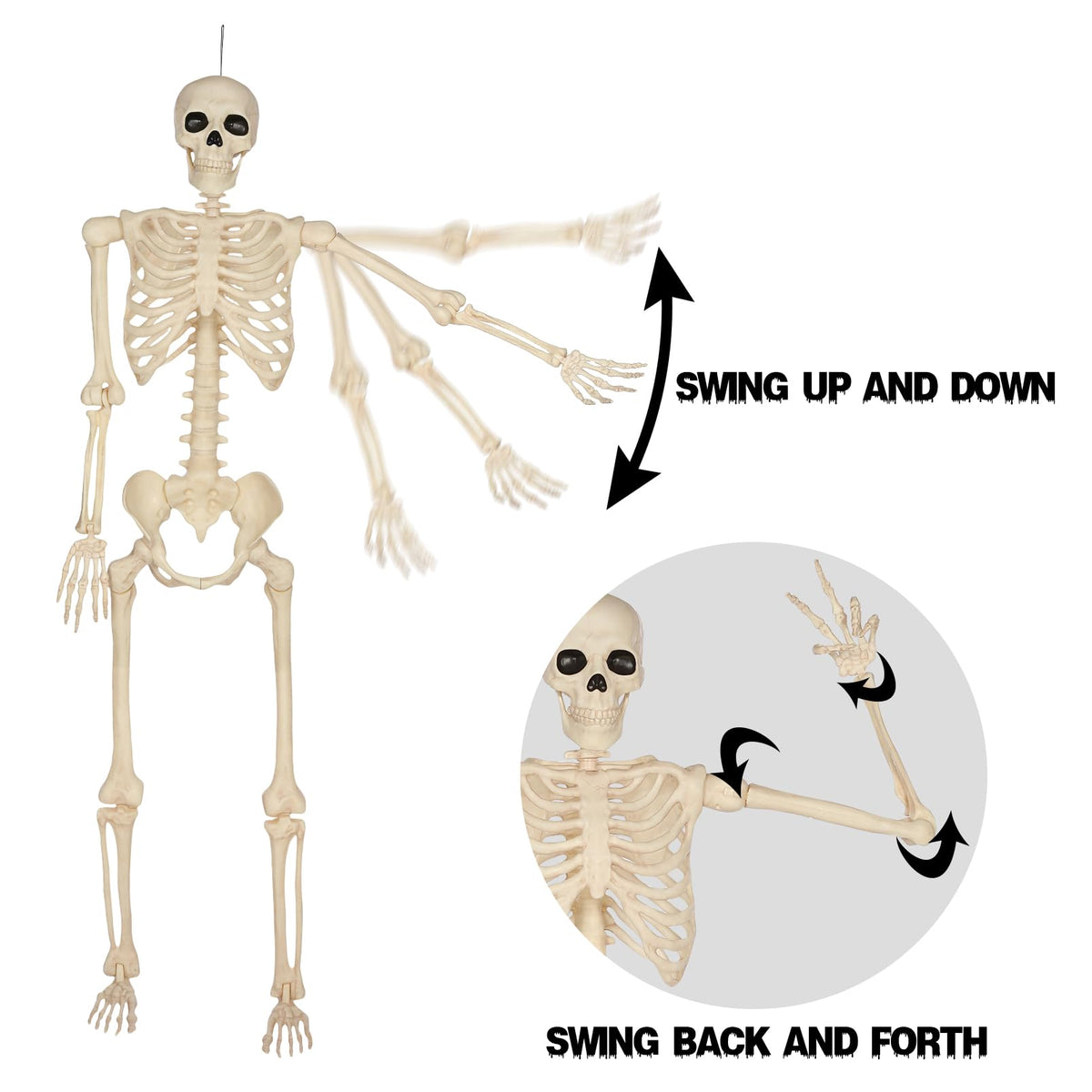 5 Ft Life-Size Full Body Skeletons C987