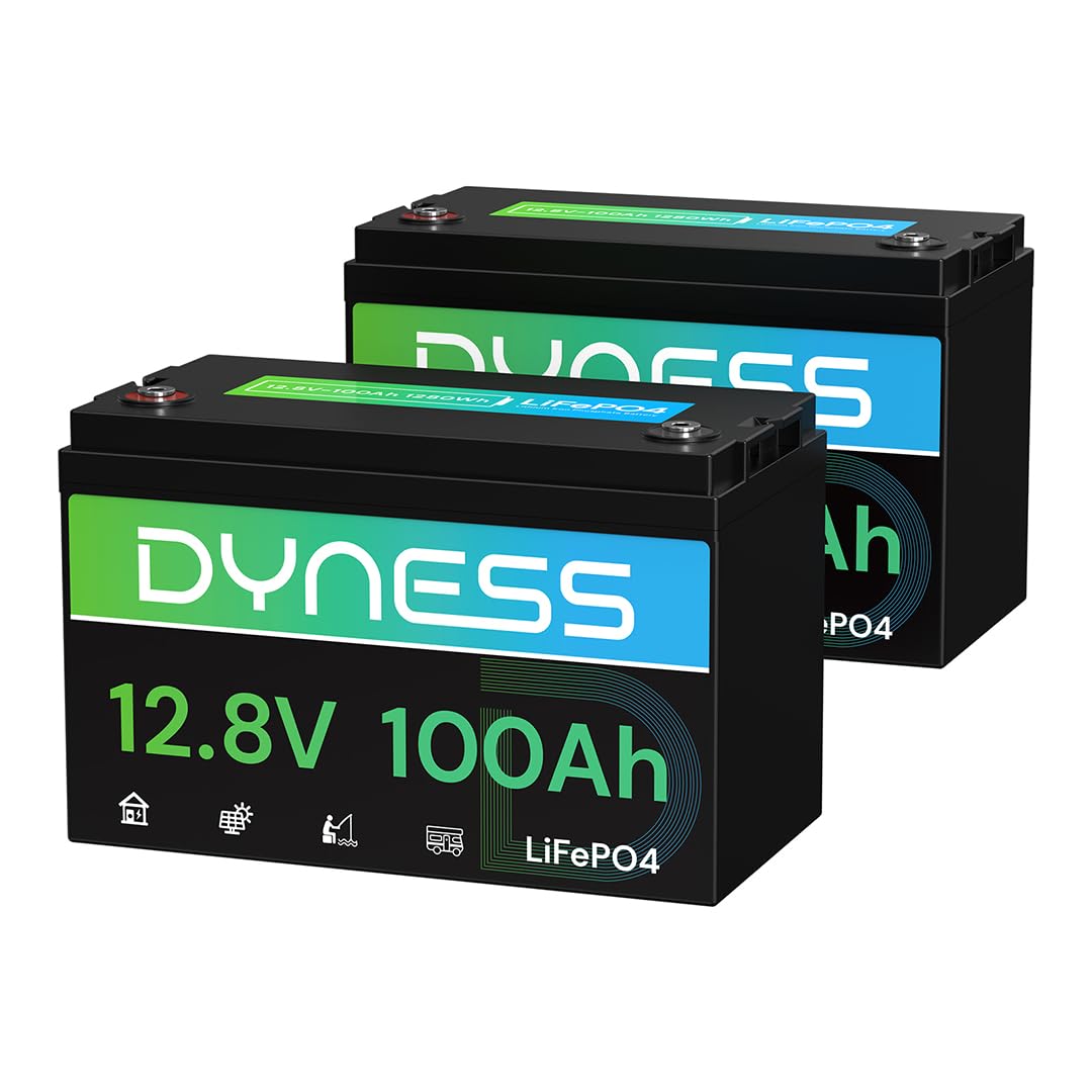 12V 100Ah LiFePO4 Lithium Battery 2 Pack Group 31 H387