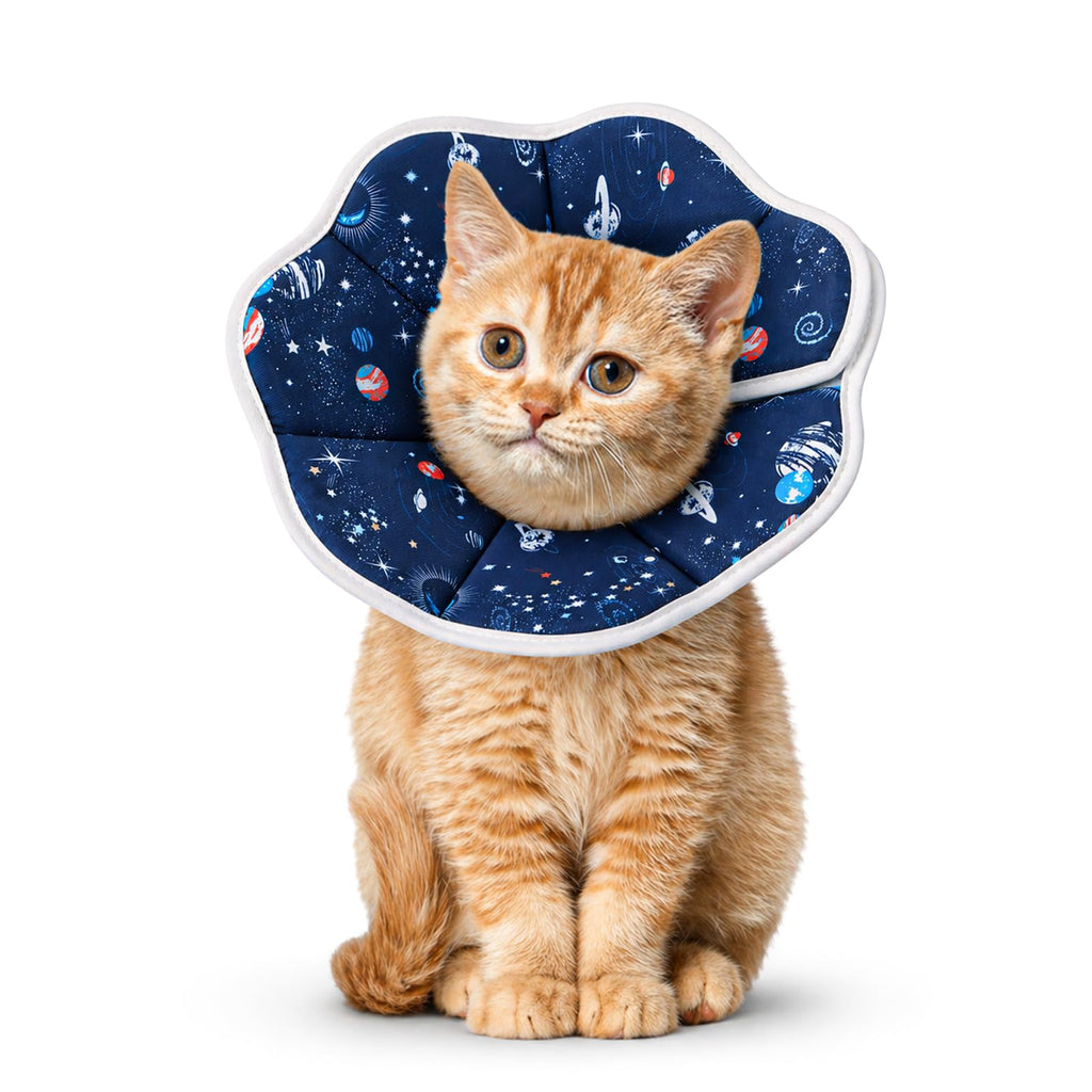 Soft Cat Recovery Cone Collar for Small Medium Cats V358