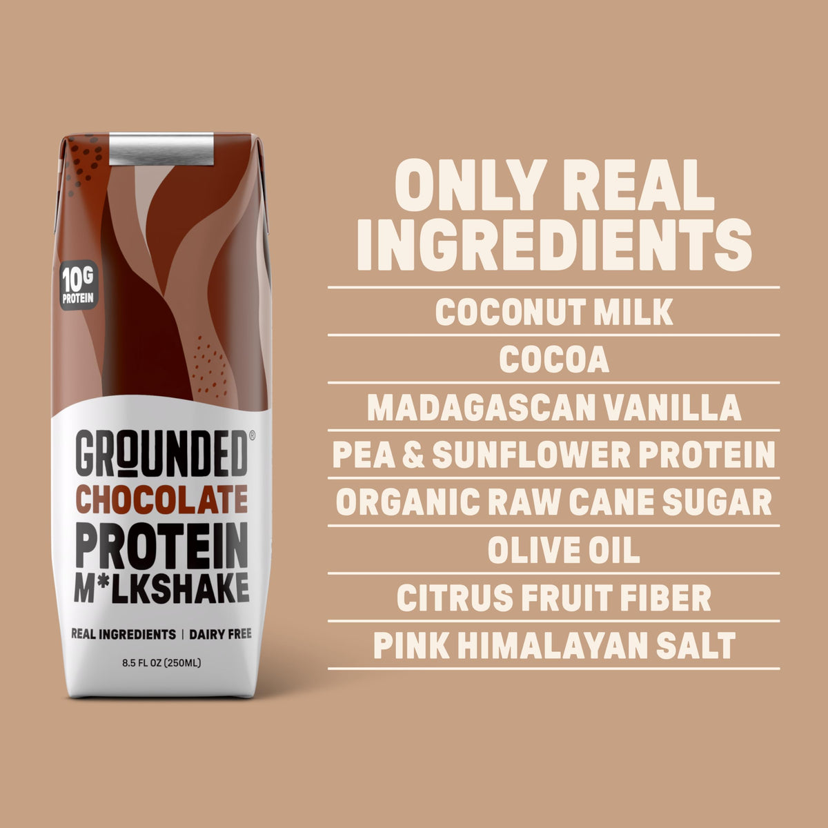 Chocolate Milk, Dairy Free, 10g Protein, 8.5 fl oz, 12 Pack I99316
