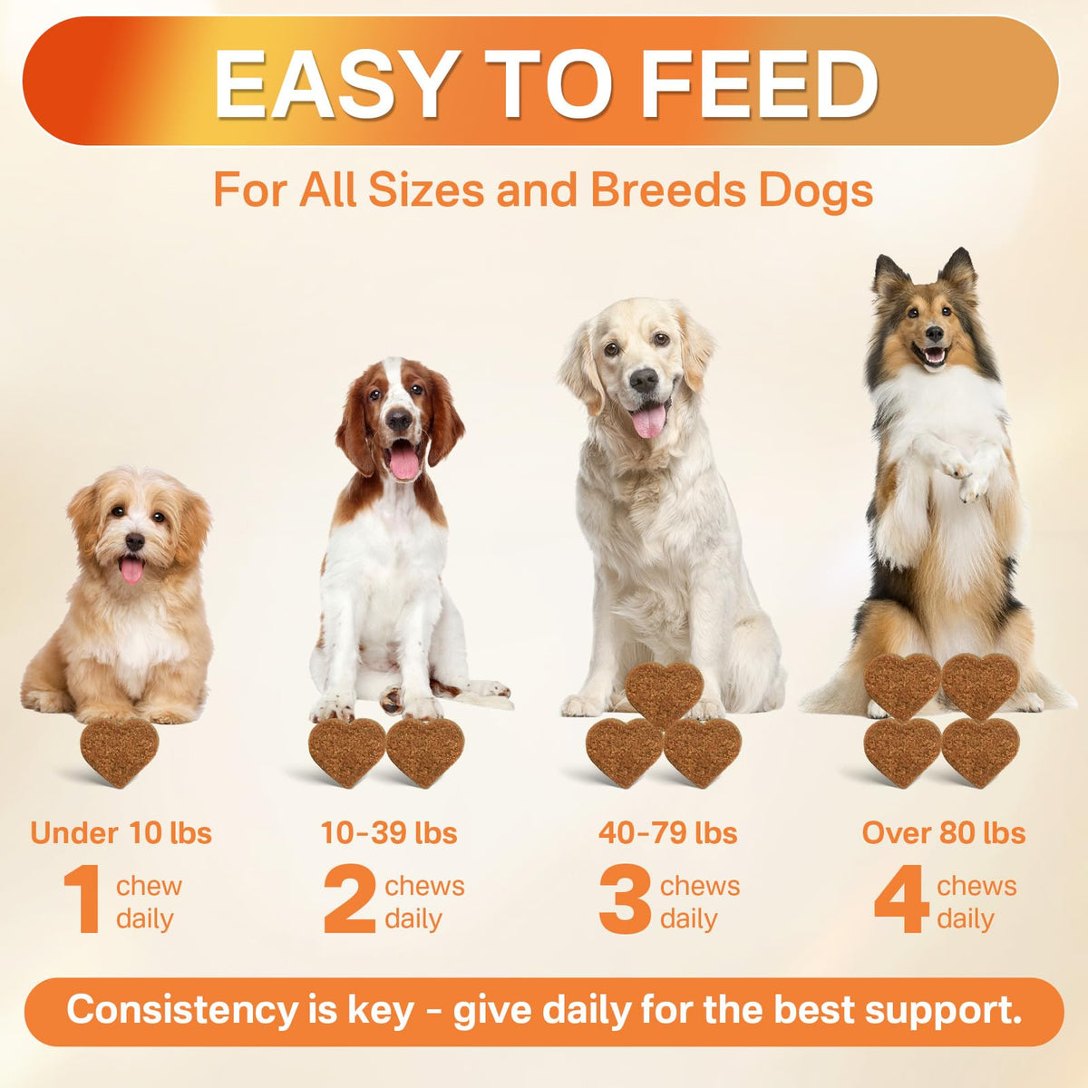 Flea and Tick Prevention for Dogs Chew F73820