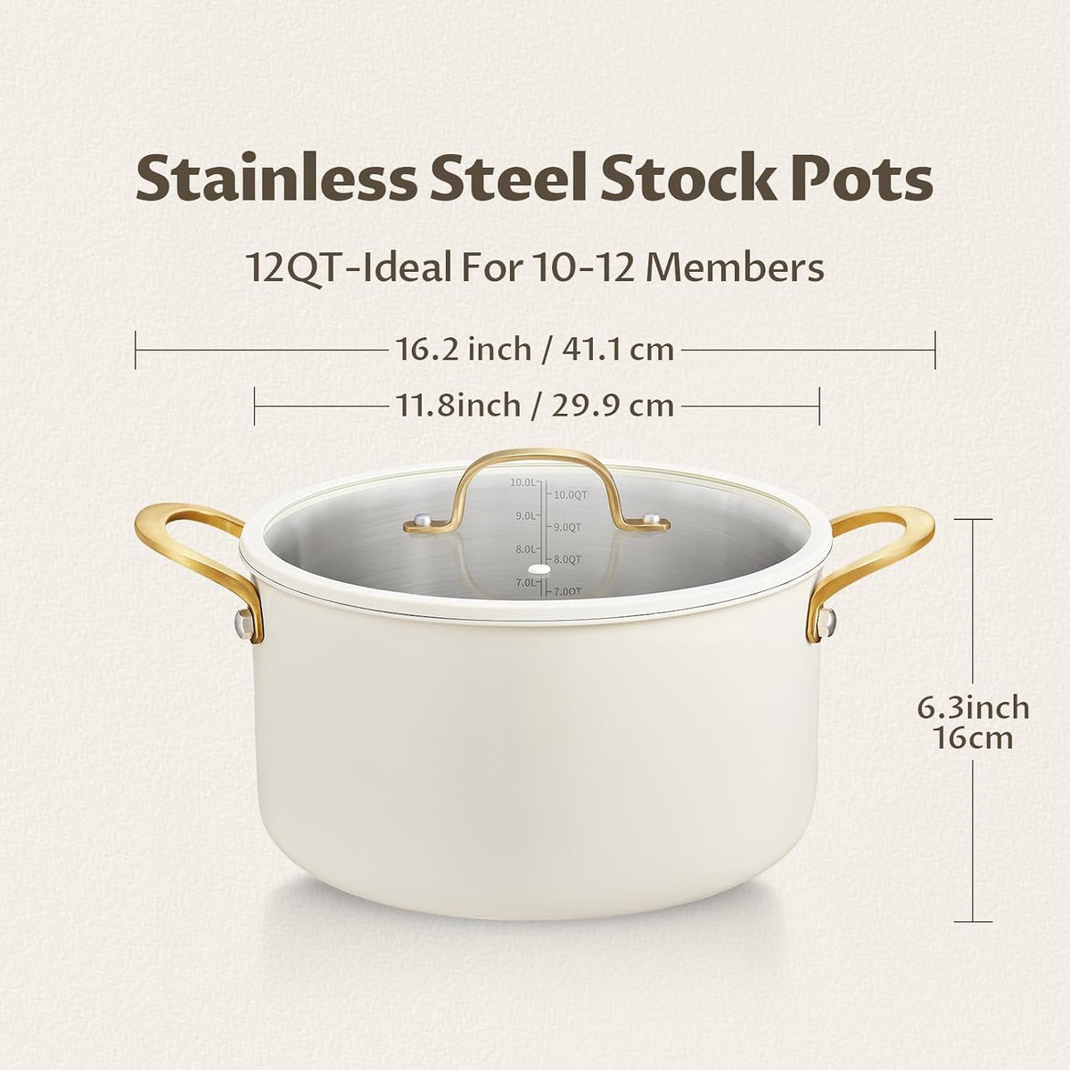 12 Quart Stainless Steel Stock Pot W87414