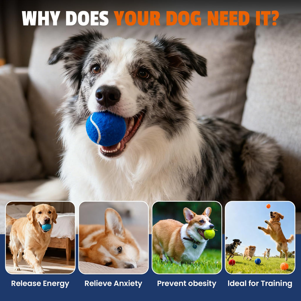 Colorful Tennis Balls for Dogs, 2.5 inches, 16 Pack K190587