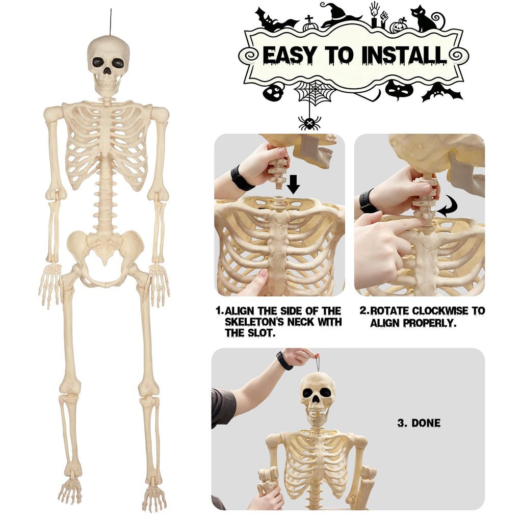 5 Ft Life-Size Full Body Skeletons C987