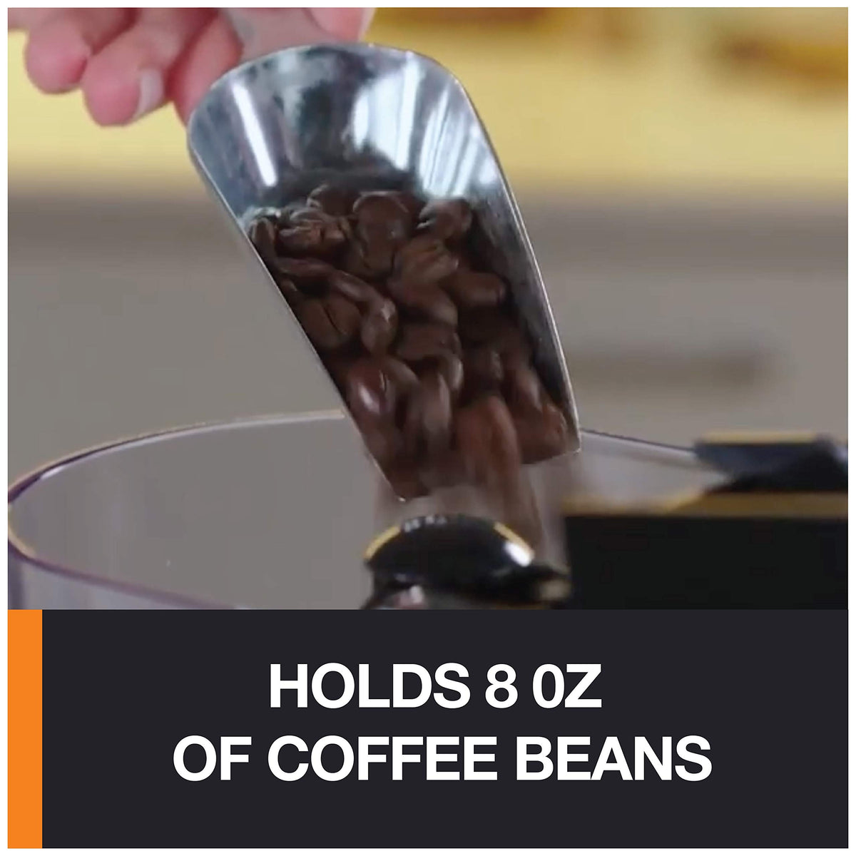 Burr Coffee Grinder 12 Settings 8 oz Stainless Steel N344