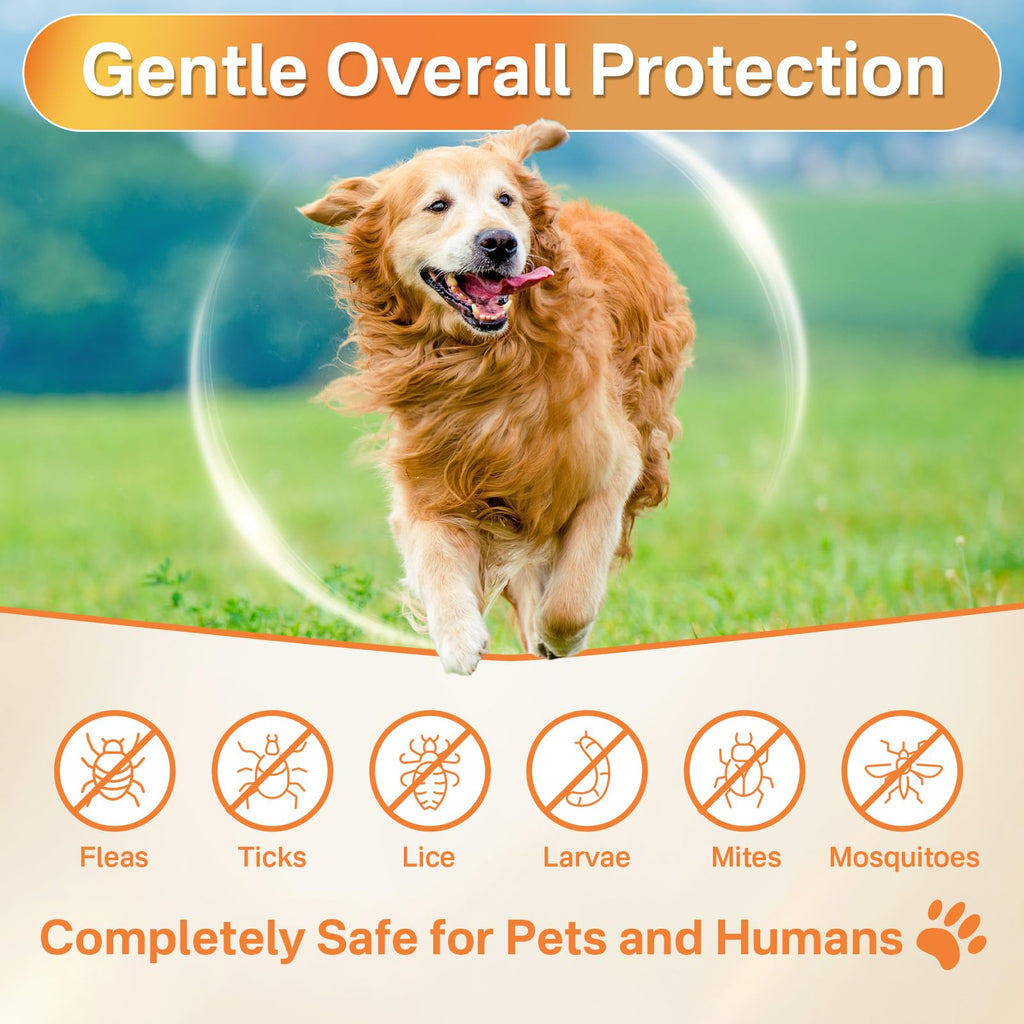 Flea and Tick Prevention for Dogs Chew F73820