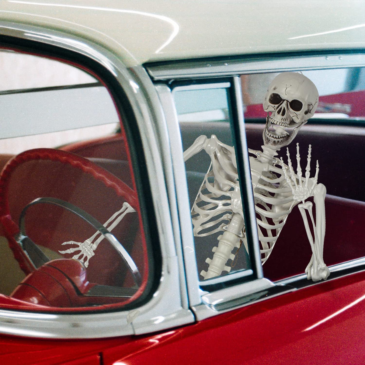 Life Size Skeleton with Posable Joints C71946