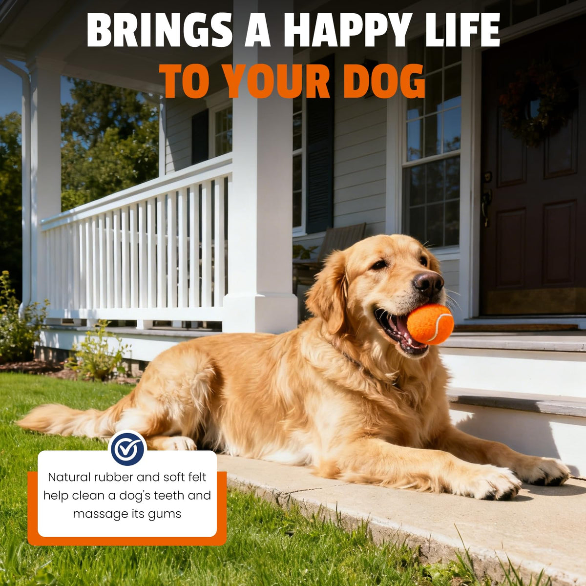 Colorful Tennis Balls for Dogs, 2.5 inches, 16 Pack K190587
