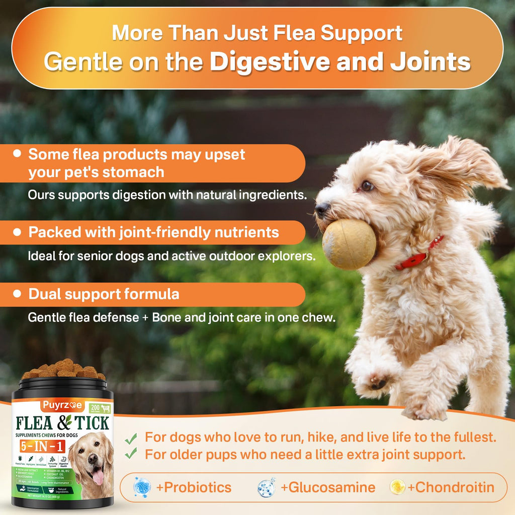 Flea and Tick Prevention for Dogs Chew F73820