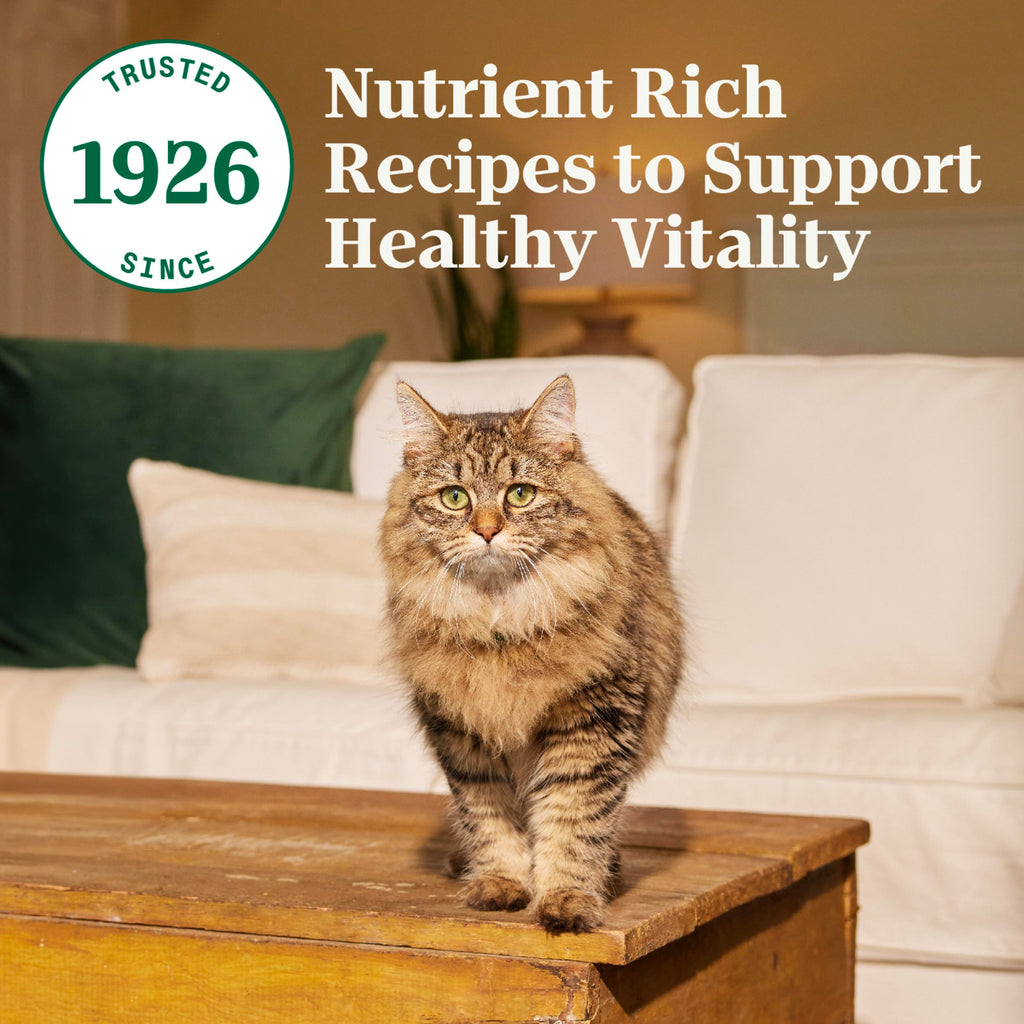 Adult Dry Cat Food Chicken & Brown Rice 5 lb T603