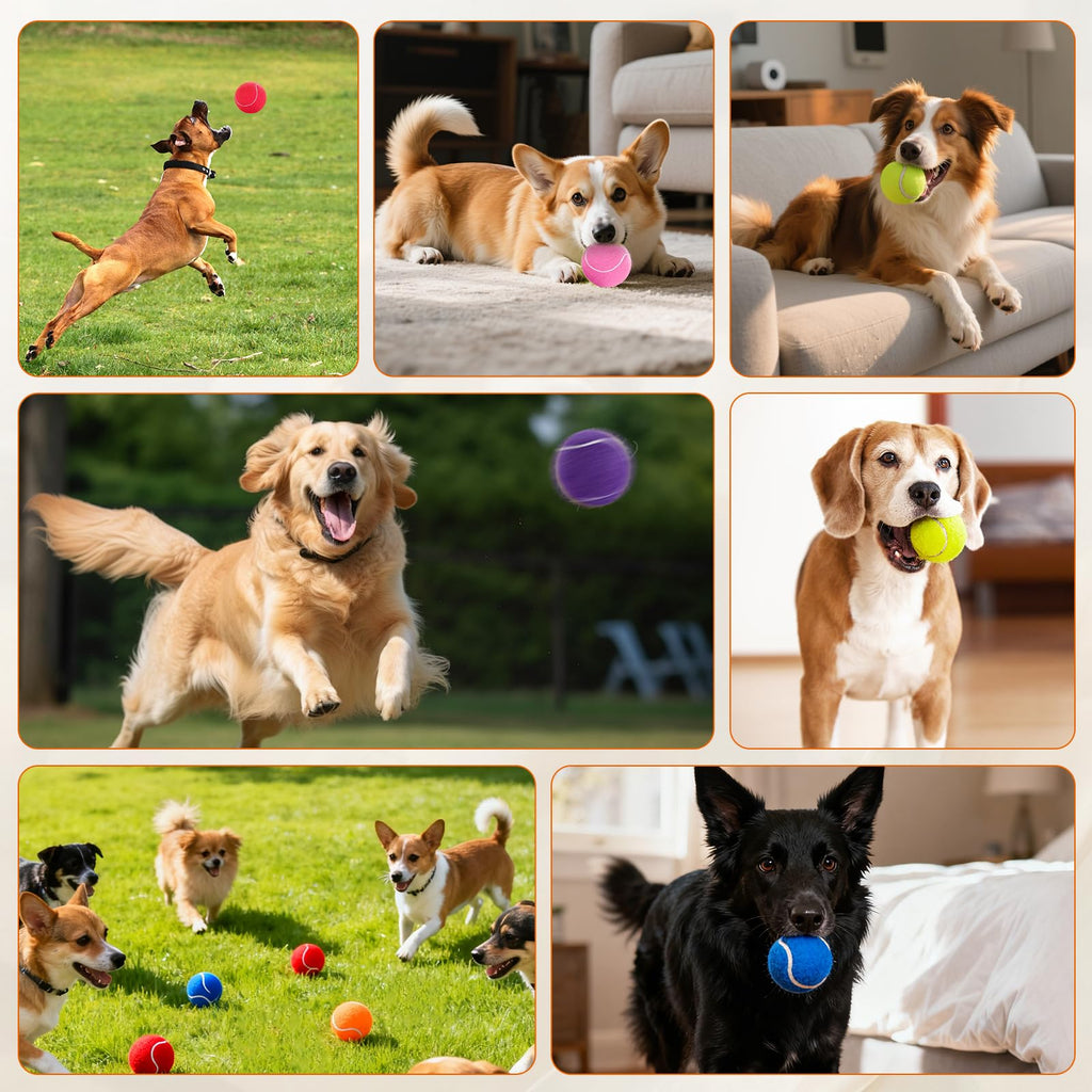 Colorful Tennis Balls for Dogs, 2.5 inches, 16 Pack K190587