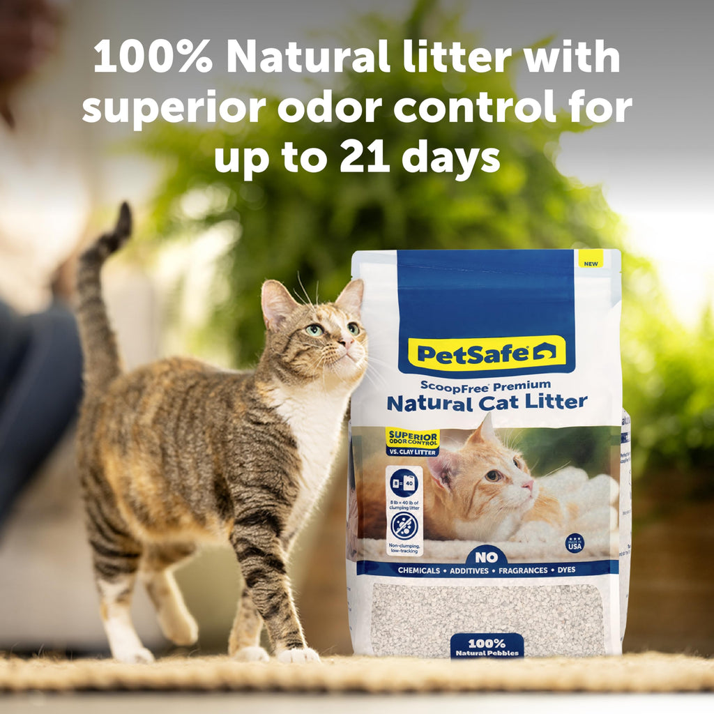 Natural Cat Litter 8 lb Bag Q8408