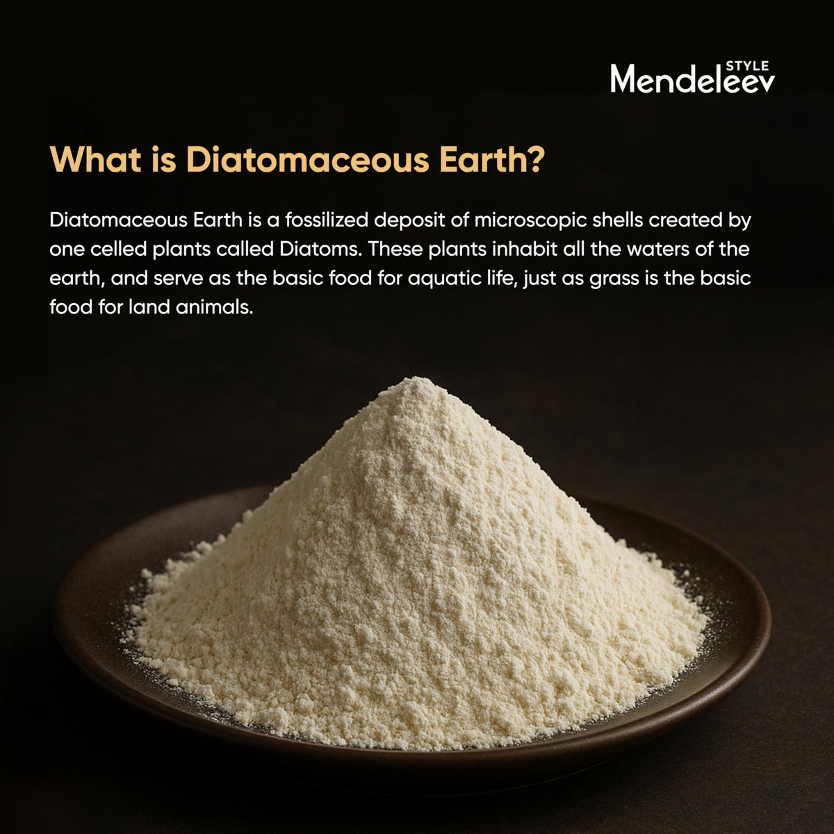 Food Grade Diatomaceous Earth T836301