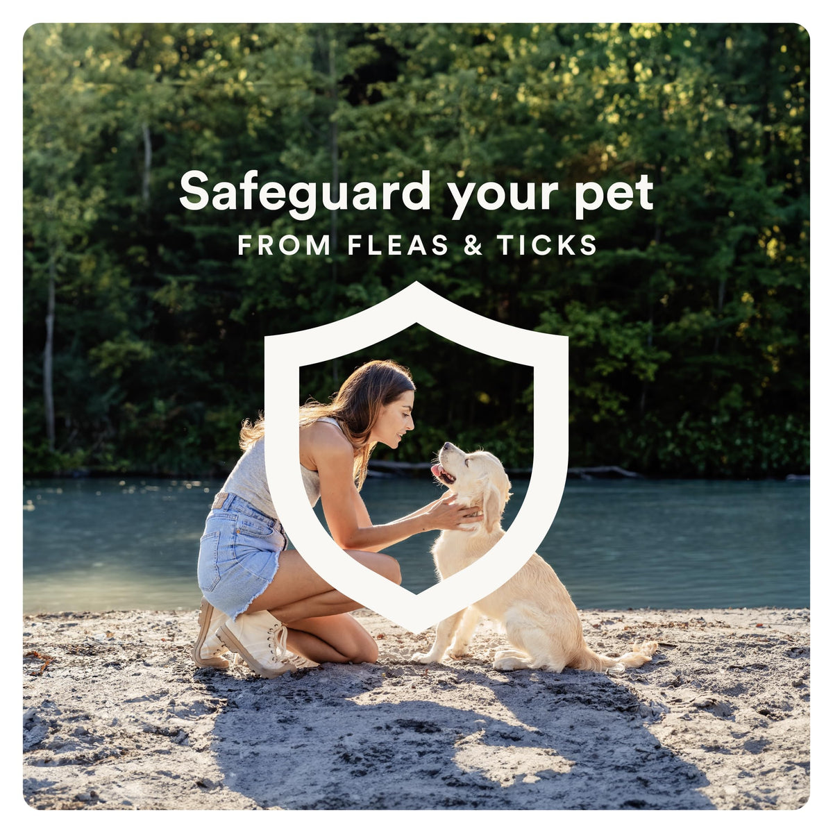 Flea and Tick Topical for Dogs 55+ lbs Z316