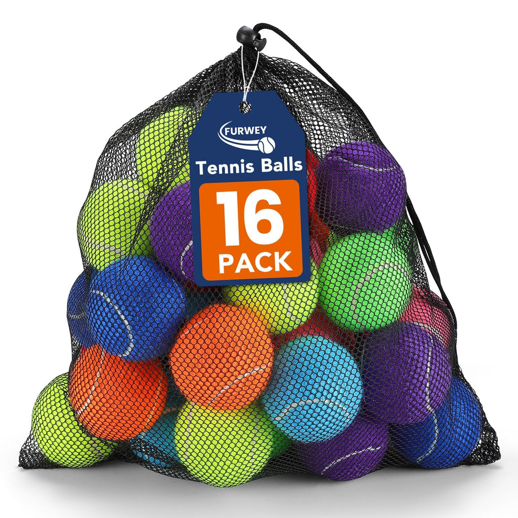 Colorful Tennis Balls for Dogs, 2.5 inches, 16 Pack K190587
