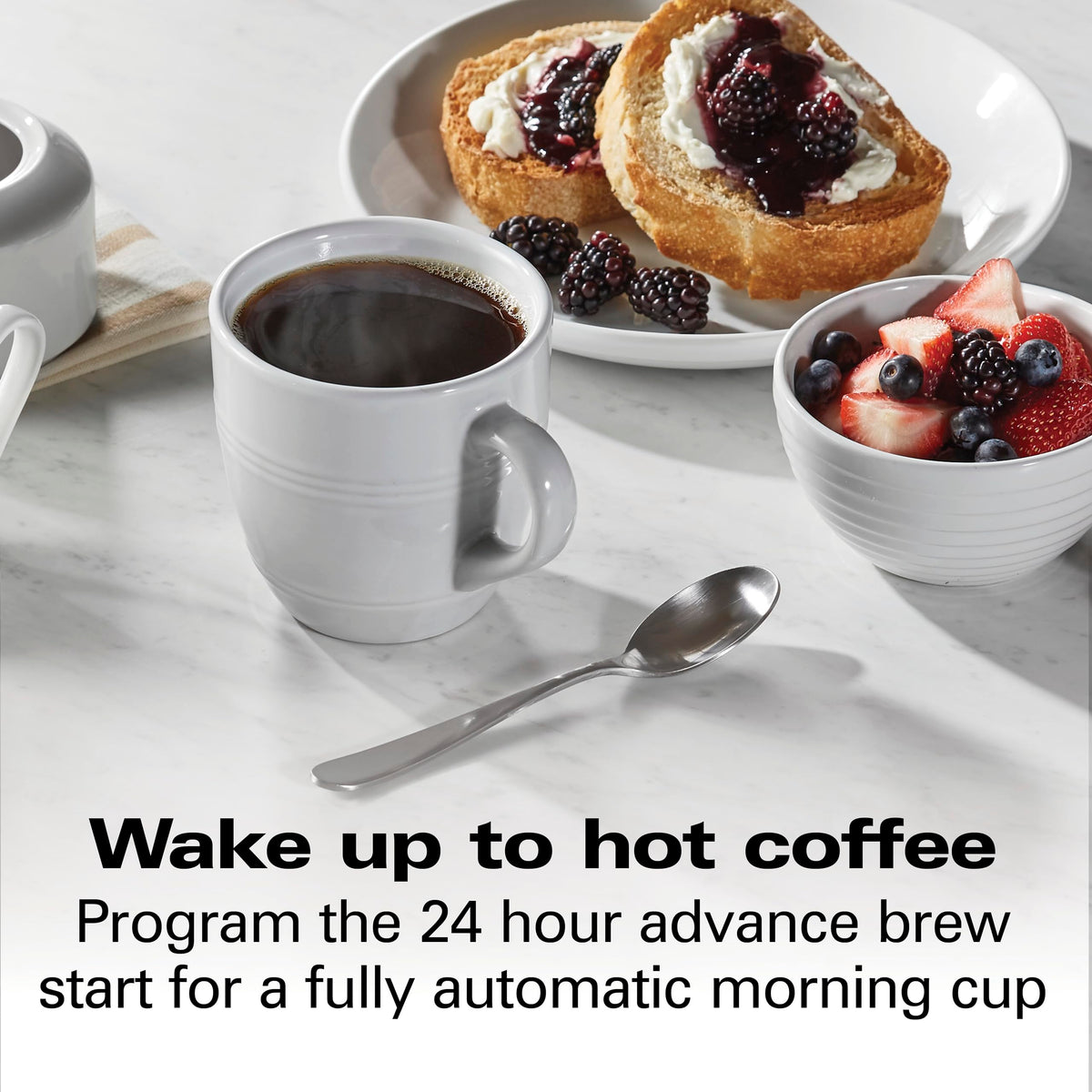 12 Cup Programmable Drip Coffee Maker F453