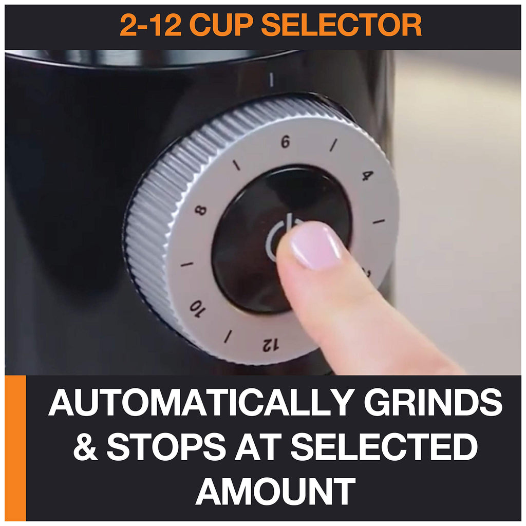 Burr Coffee Grinder 12 Settings 8 oz Stainless Steel N344