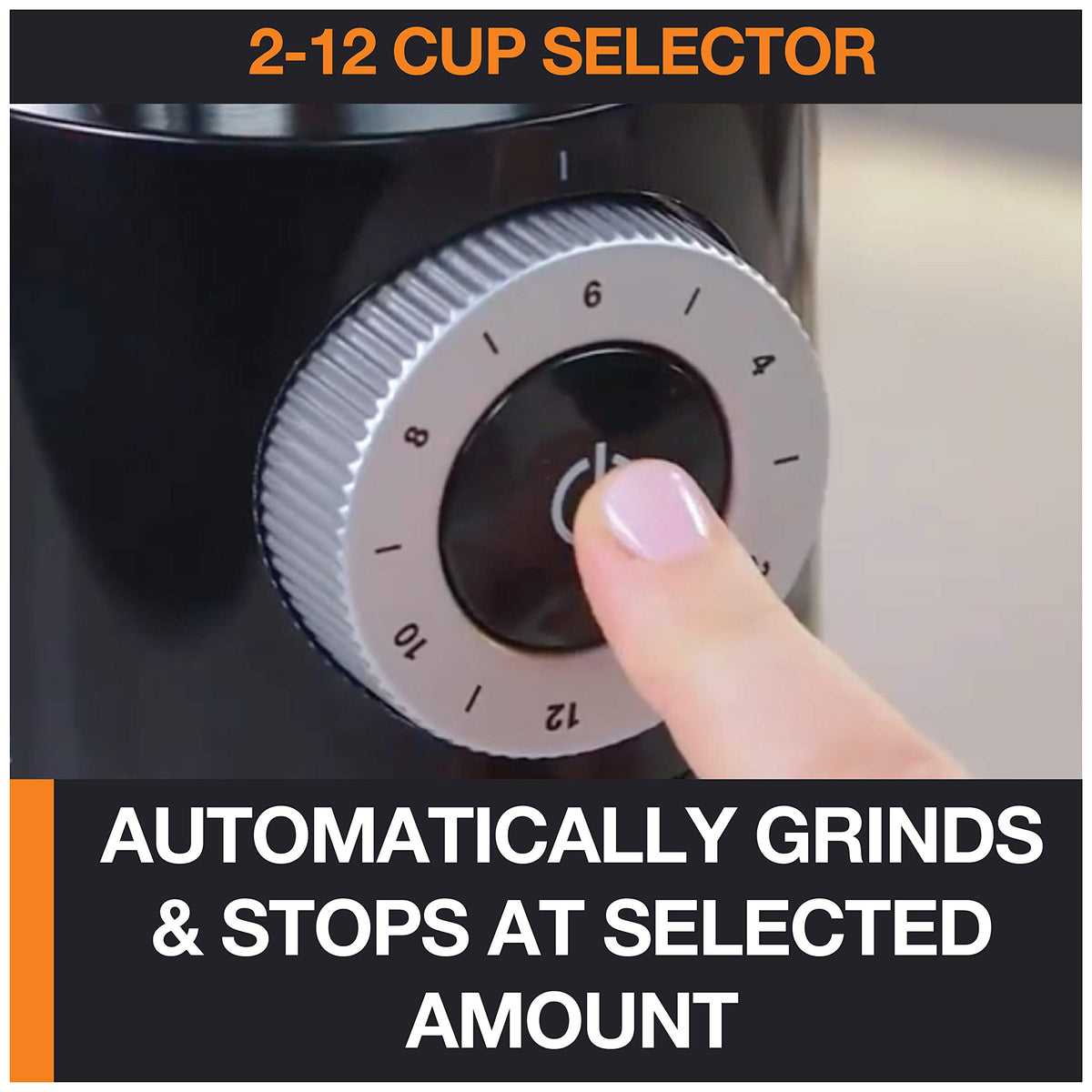 Burr Coffee Grinder 12 Settings 8 oz Stainless Steel N344
