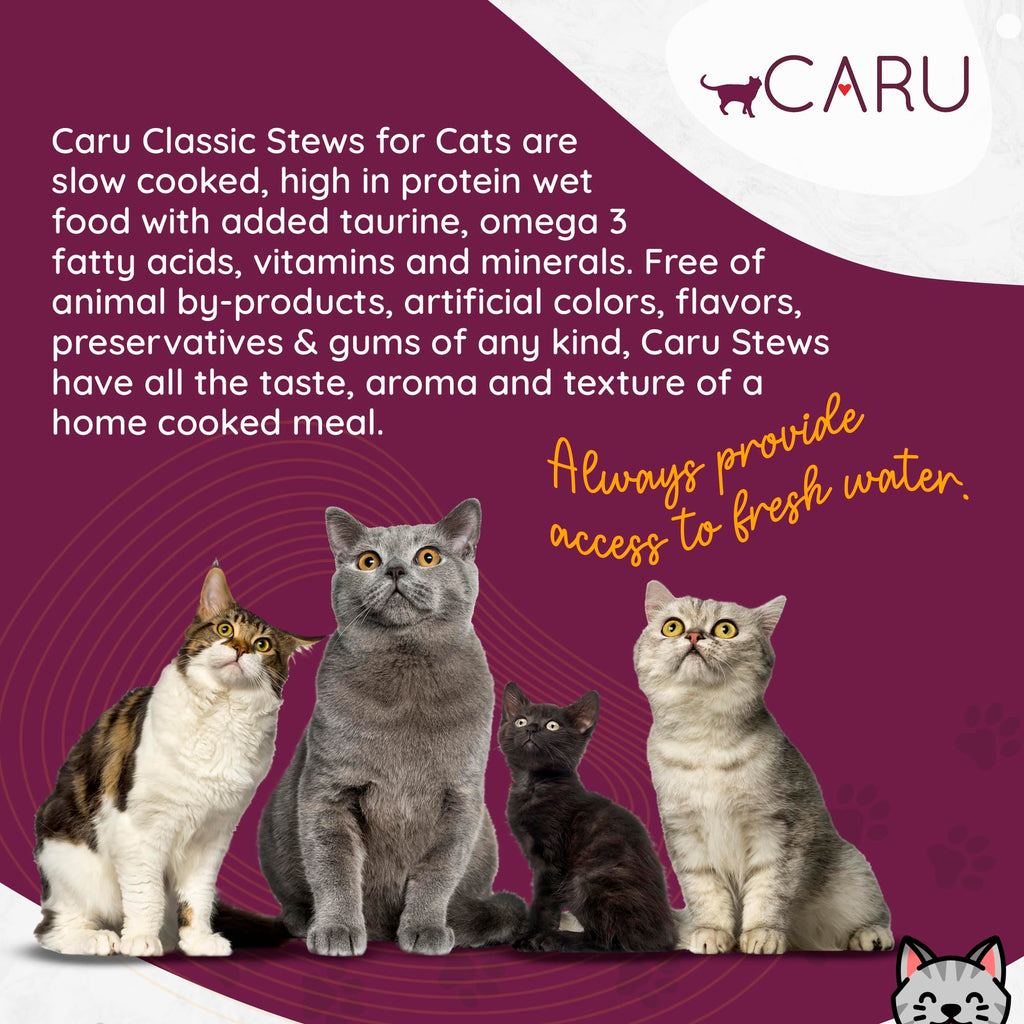 Turkey Recipe Cat Stew 5.5 oz Case of 12 V6814