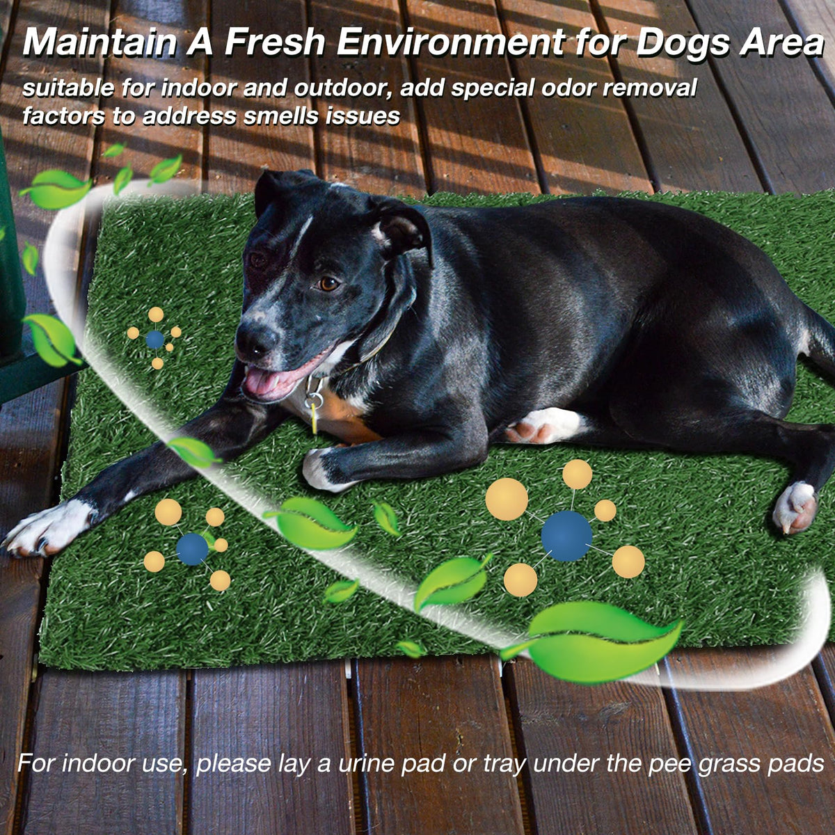 Artificial Grass Pee Pad 18 x 14 Inches 2 Pack Z998475