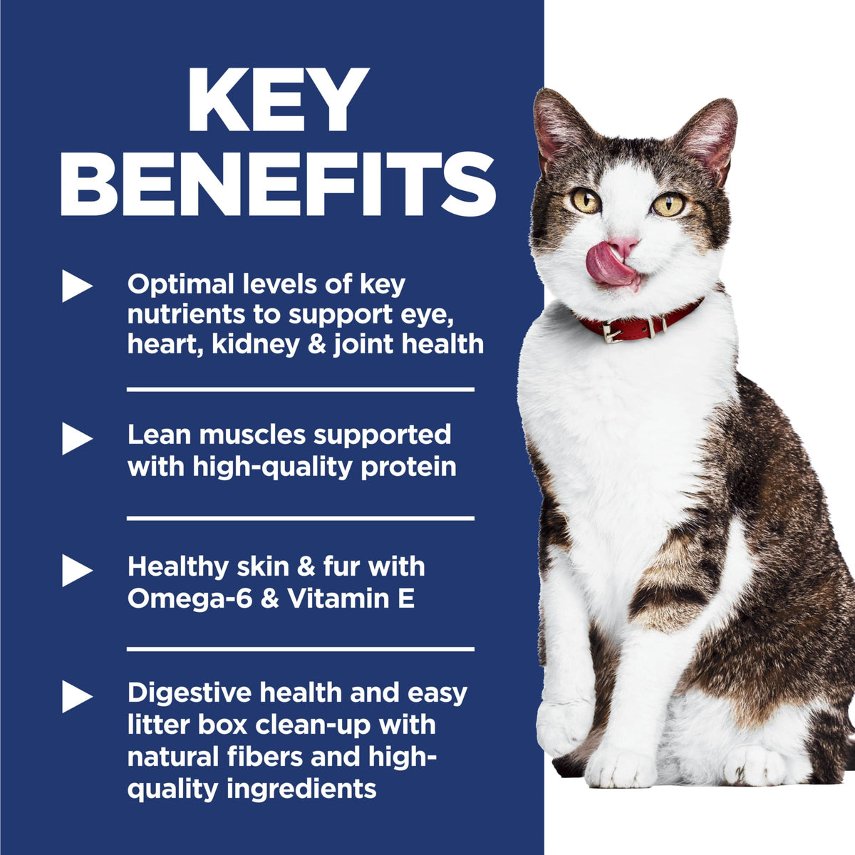 Indoor Dry Cat Food U888487