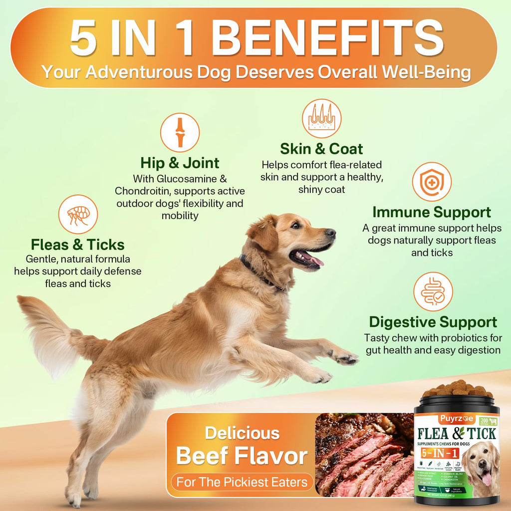 Flea and Tick Prevention for Dogs Chew F73820