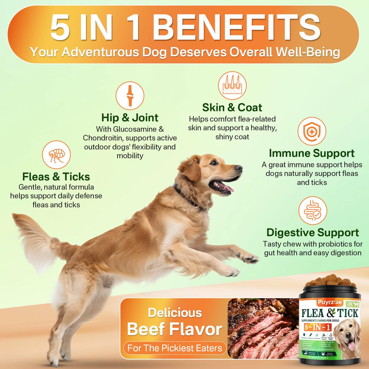 Flea and Tick Prevention for Dogs Chew F73820