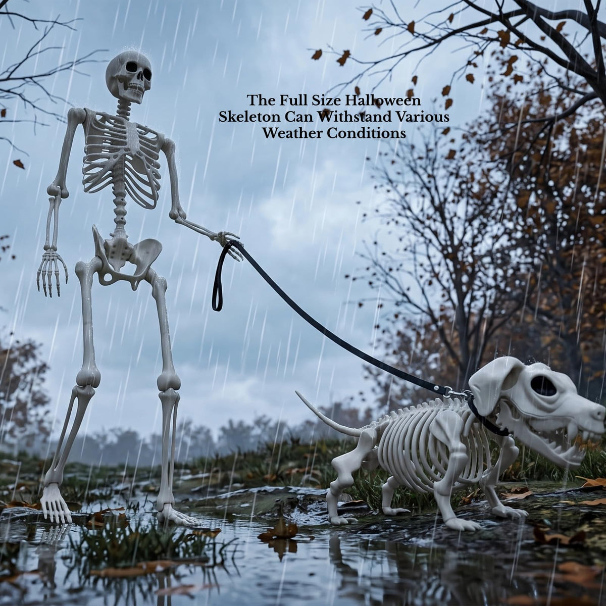 5.4FT Posable Skeleton K810592