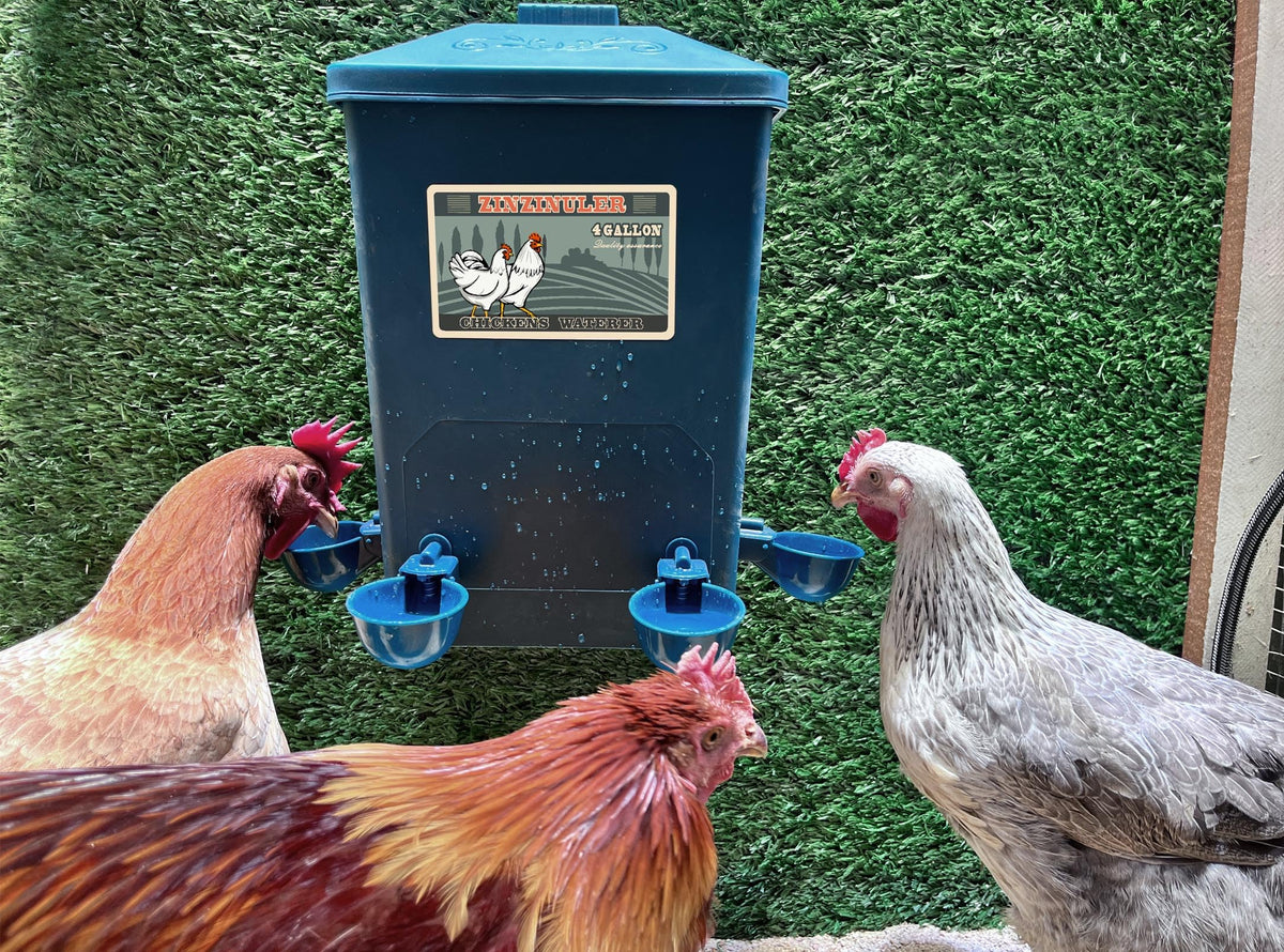 6 Gallon Chicken Waterer 2-Pack G64042