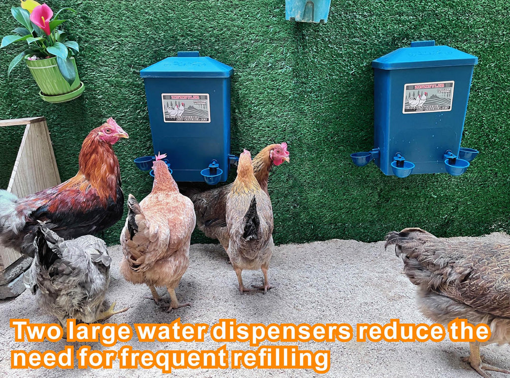 6 Gallon Chicken Waterer 2-Pack G64042