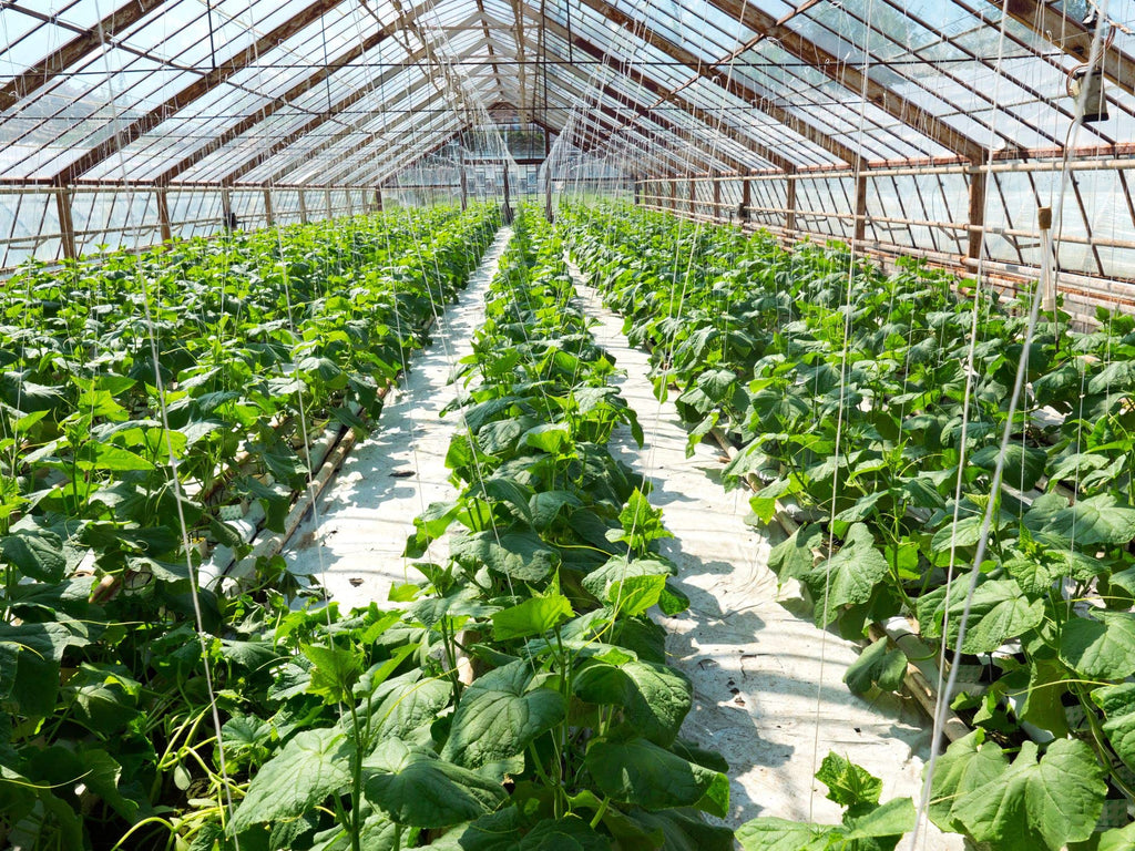 4 Cubic Foot Planting Soil Additive Q693