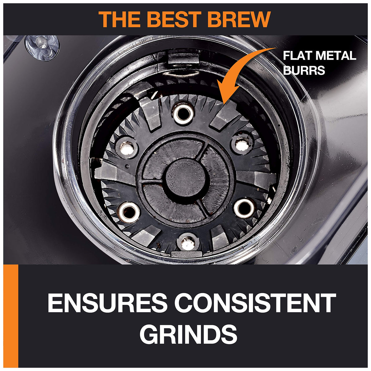 Burr Coffee Grinder 12 Settings 8 oz Stainless Steel N344