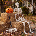 5.4FT Posable Skeleton K810592