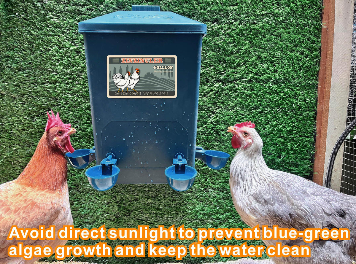 6 Gallon Chicken Waterer 2-Pack G64042