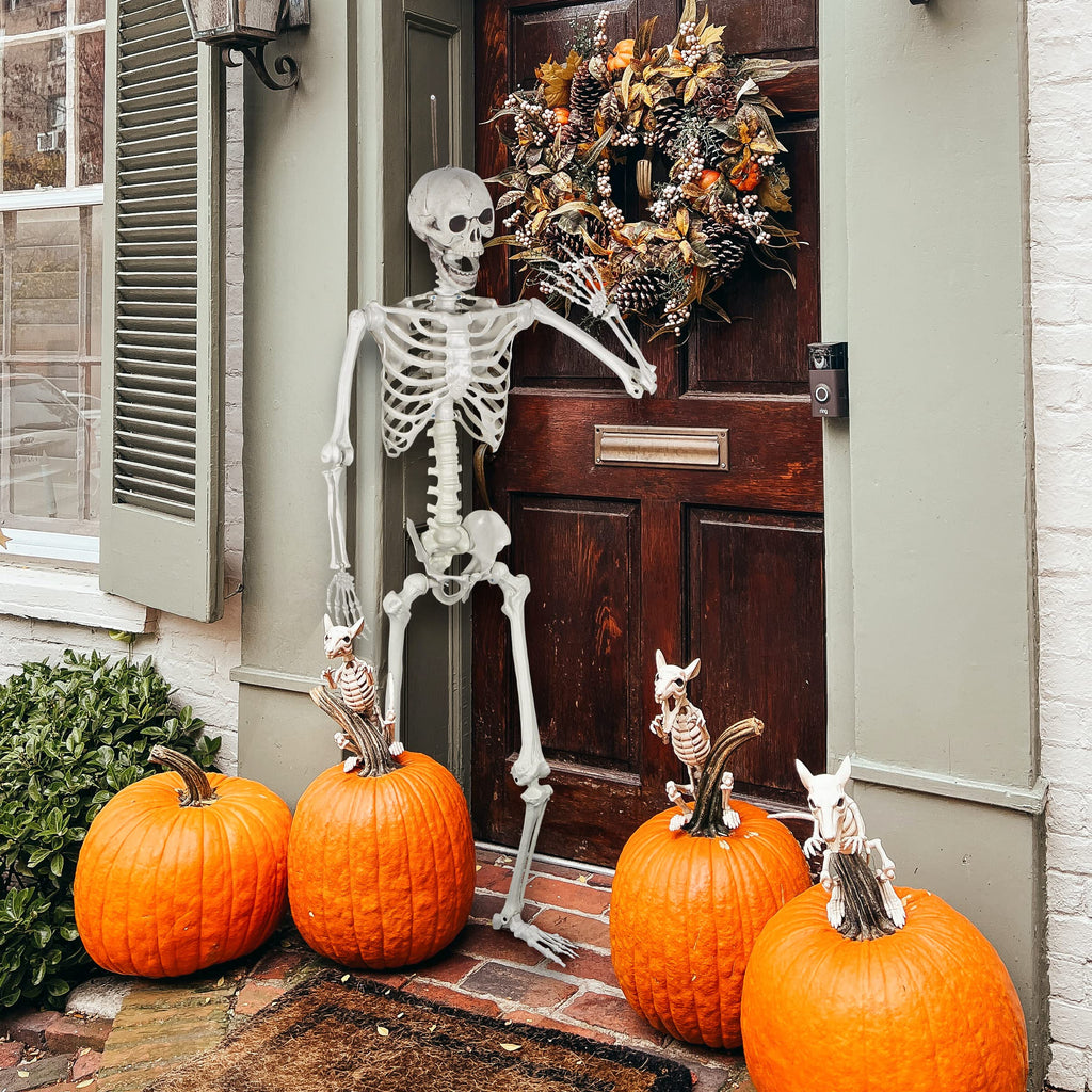 Life Size Skeleton with Posable Joints C71946